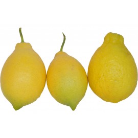 Citron de Provence